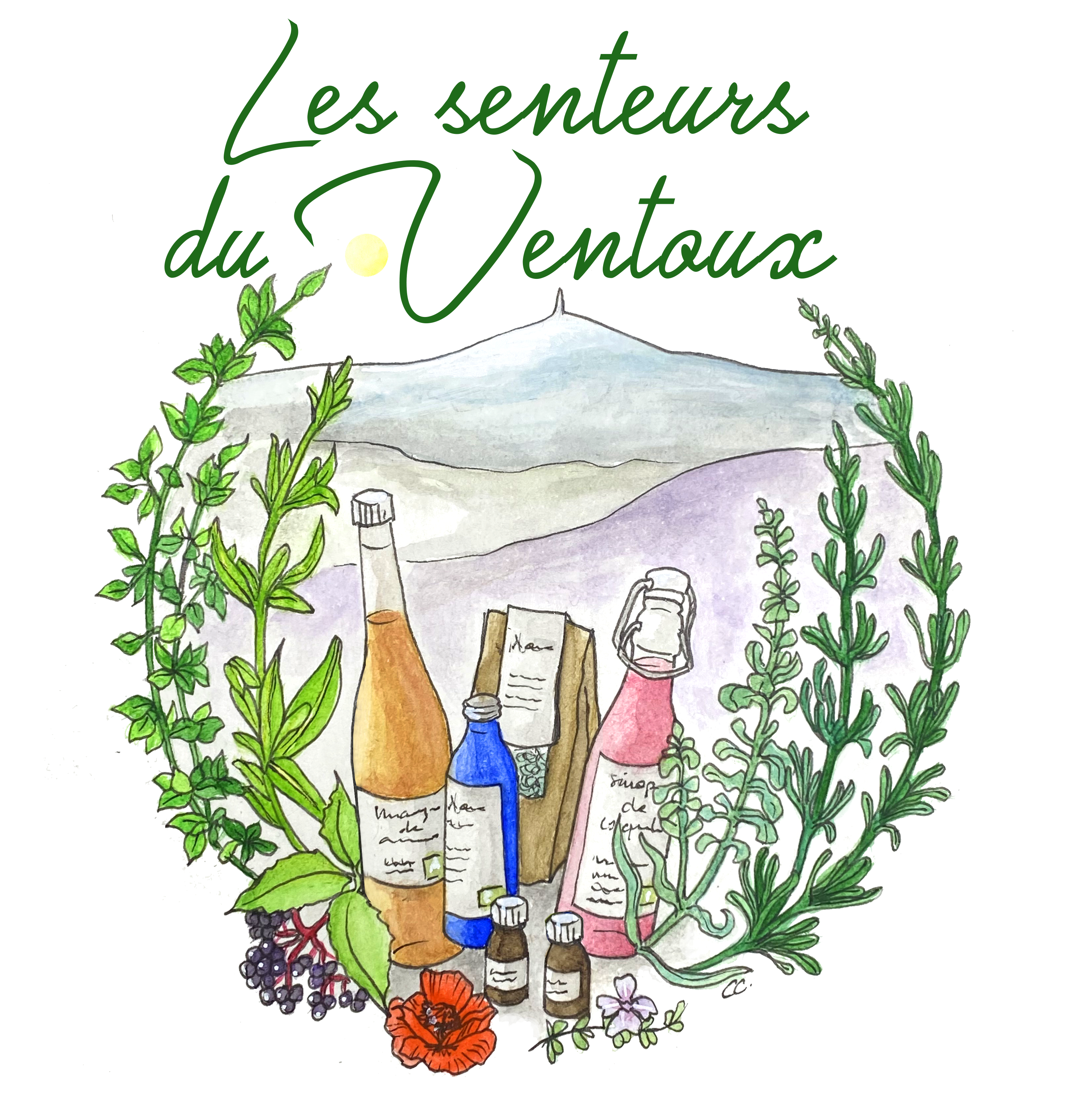 Les senteurs du Ventoux