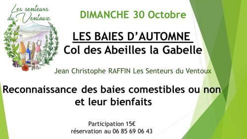 Affiche balade baies d'automne001